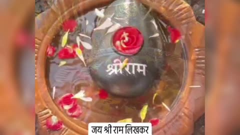 Ram setu ka pathar weight 8 kg float on water