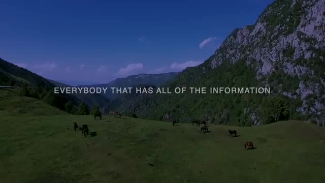 What did the See-Project Looking Glass