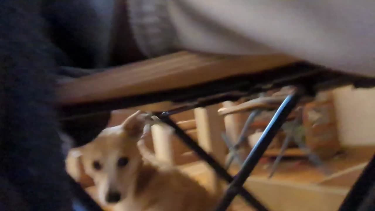 2023-04-22 (7) - Triskel commande sur Hello Fresh qui le sponsorise - Twitch Triskelina (clip)