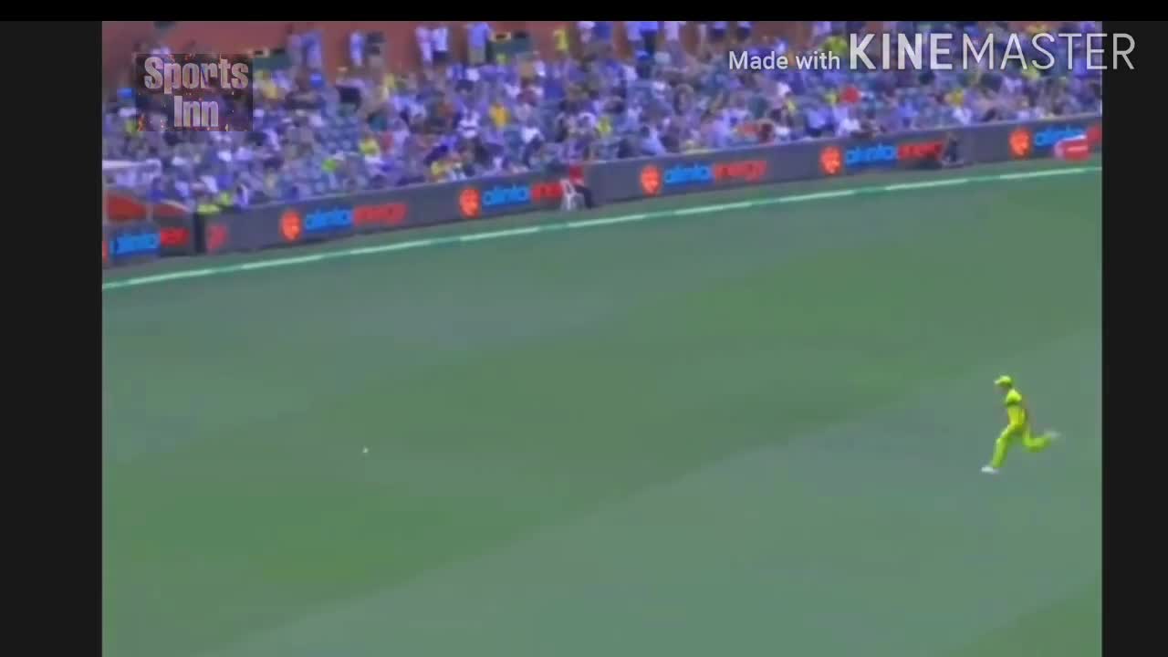 Hilights of virat kohli shots