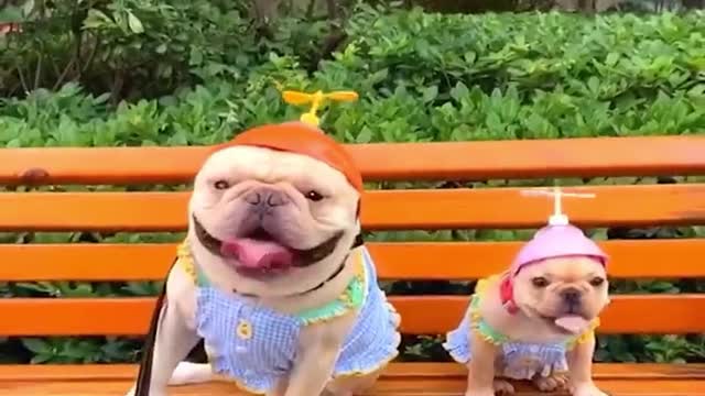 they’re too cute for us-