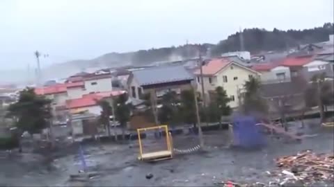 Animals appear monstrous tsunami in Japan