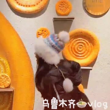 Highlights Of Chinese Girl Daily Life 309 | My Daily Life Vlog 😊 #vlog #Today #video