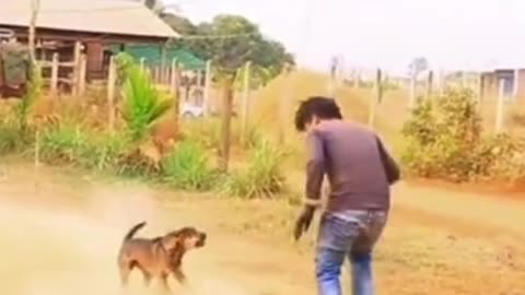 Foi brincar com o cachorro e se deu mal!