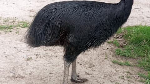 Zoo