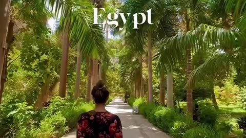 Visit Egypt 🇪🇬