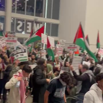 Even California Democrats Can't Quell The Pro-Palestinian Mob, Activists Take Over CA Dem Convention