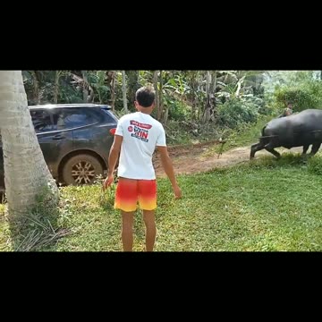 Real horse power lol