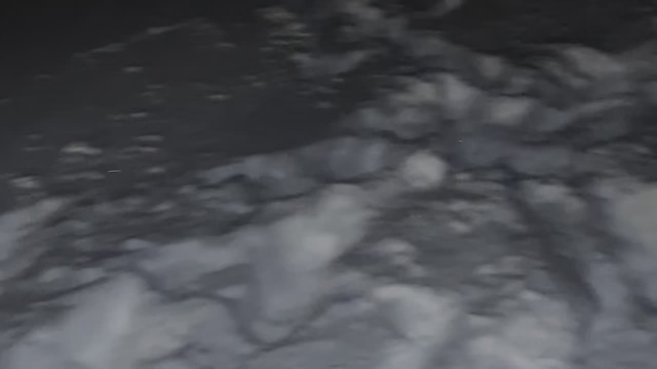 Enzo eating snow