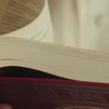 The Authority of the Bible: Decoding Interpretation in the Catholic Church