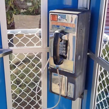 When's the last time you seen these things?