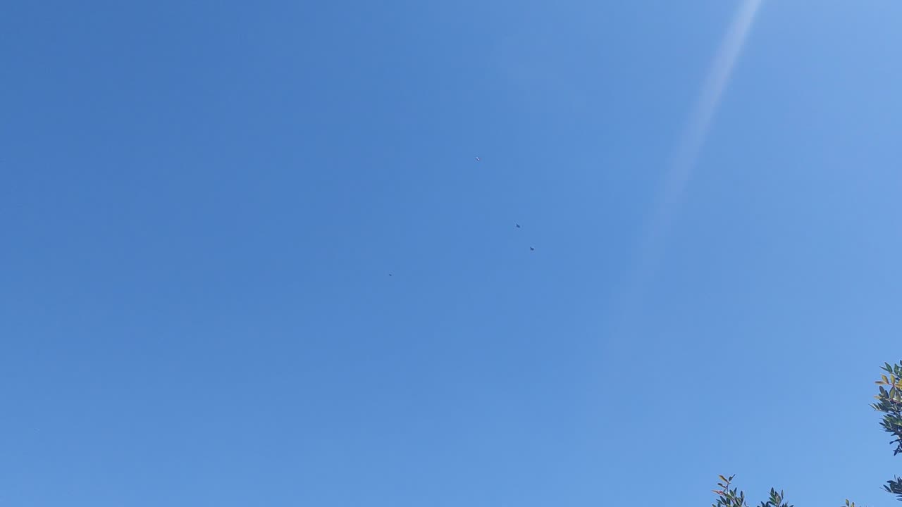 Μαχητικα Αθηνα