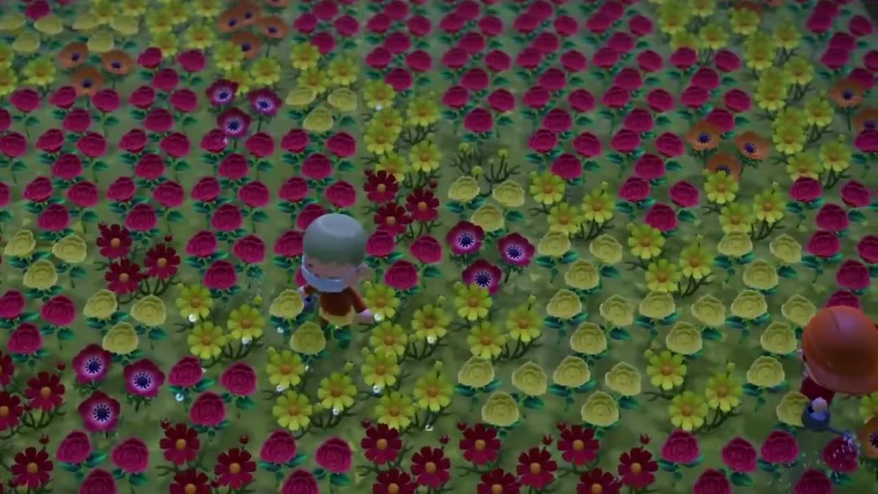 Animal Crossing