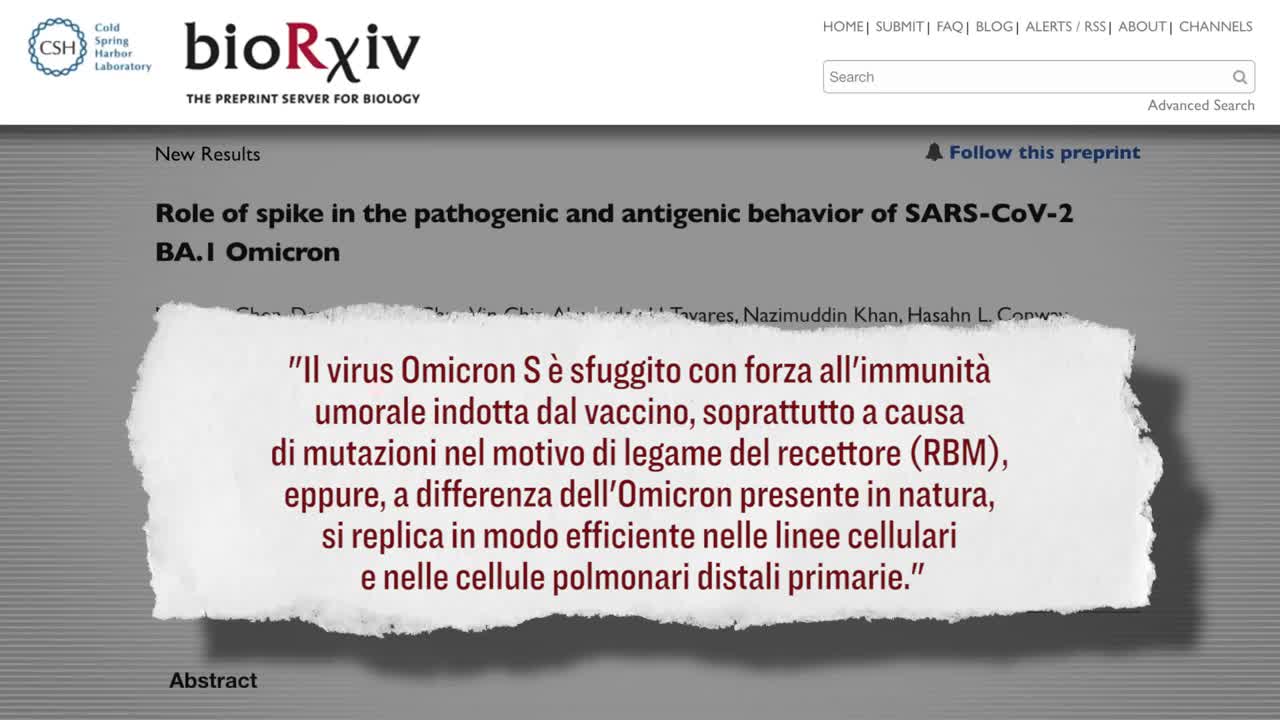Il movimento “decostruzionista” origina dall’inganno creato della falsa razionalità illuminista