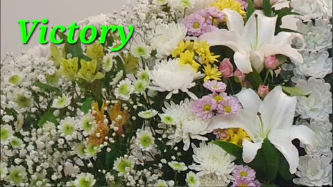 230217... 시편 19.25편.... 김지철교수 새벽강의...