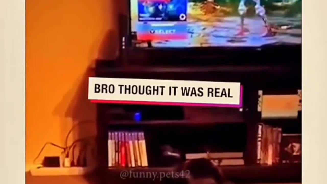 Dog clip