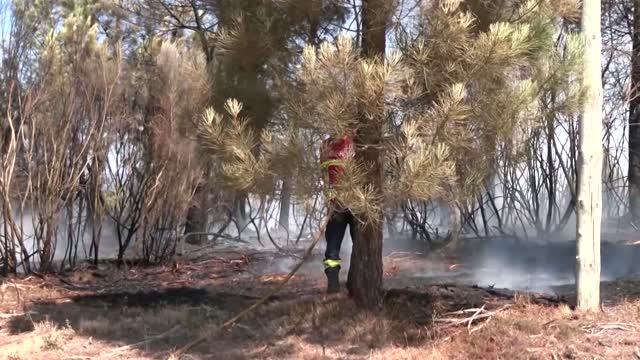 Watch firefighters struggle in Portugal's hills