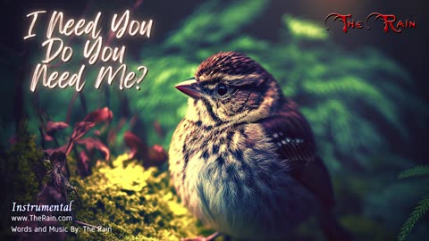 1646.I Need You Do You Need Me - Instrumental