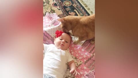 cat playing with little girl