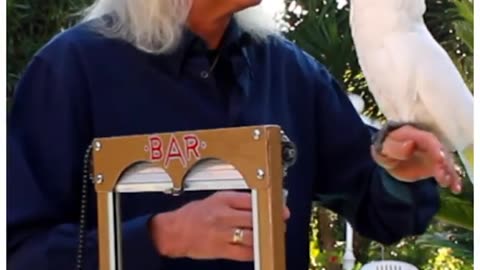 Houdini aint got nothing on Smudge.