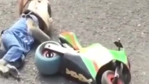 Monkey funny riding a bike playing dead
