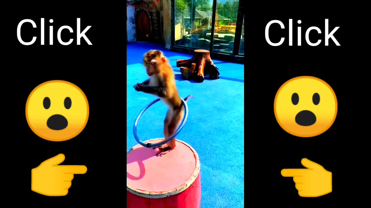 Click 👆👆👆