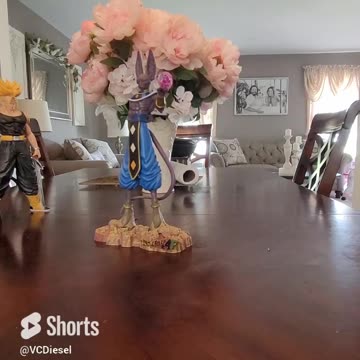 TEMU LORD BEERUS REVIEW SEMI BROKEN