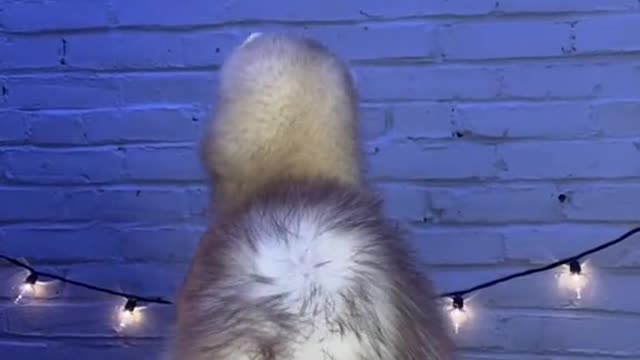 Tornado watch🌪👀