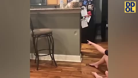 TRY NOT TO LAUGH WATCHING FUNNY FAILS VIDEOS 2022