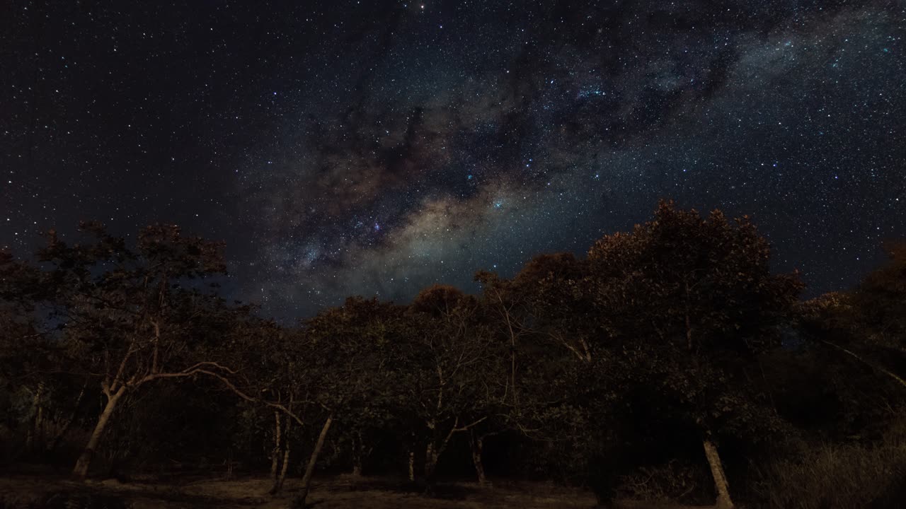 Timelapse of the milky way over forest tree on a clear night sky