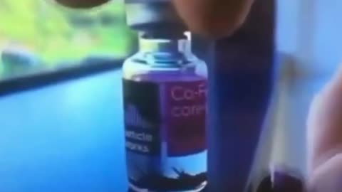 Covid And Magnets