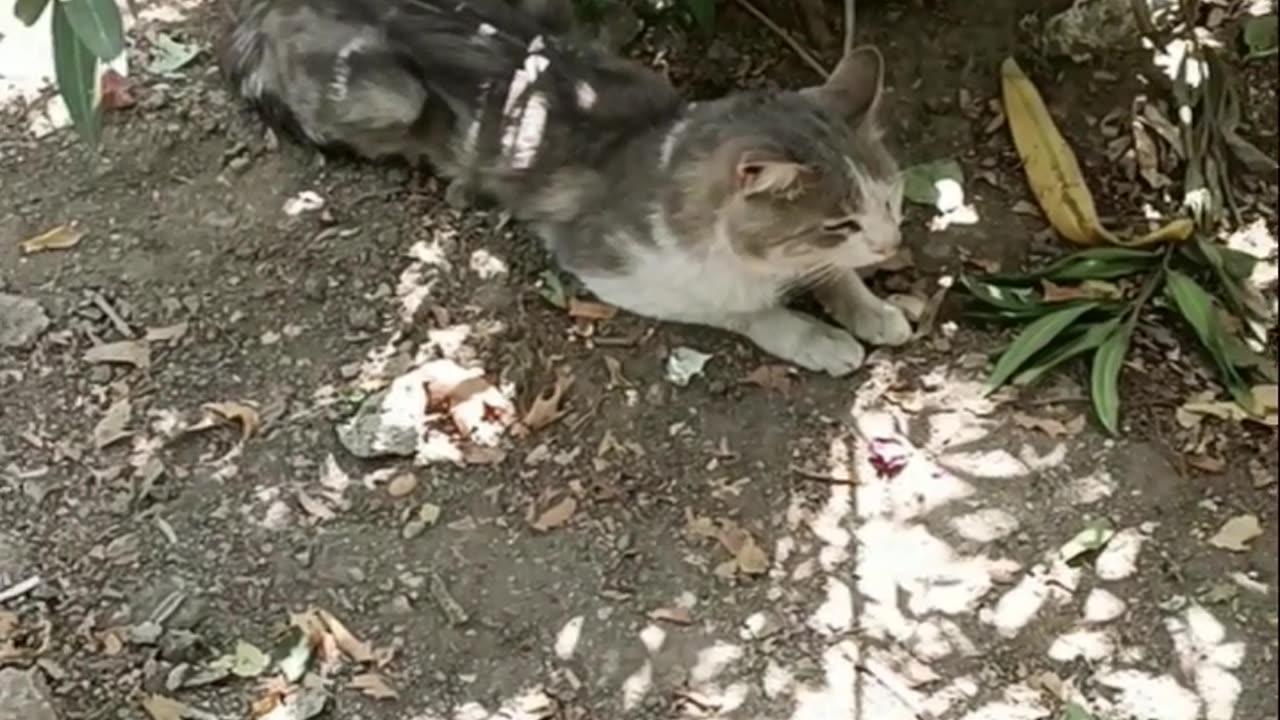 5-3