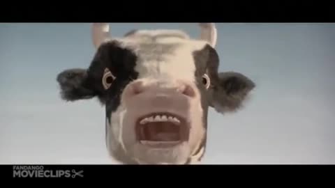 Cow and man funny fight😇