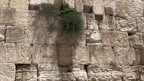 Three of the holiest sites in Jerusalem