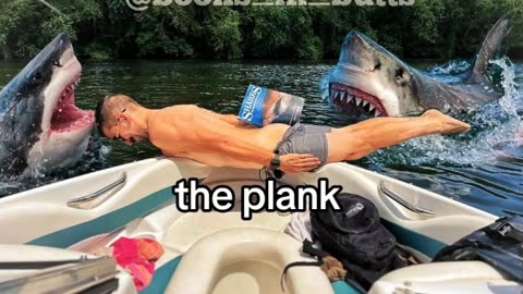 SHARK WEEK!