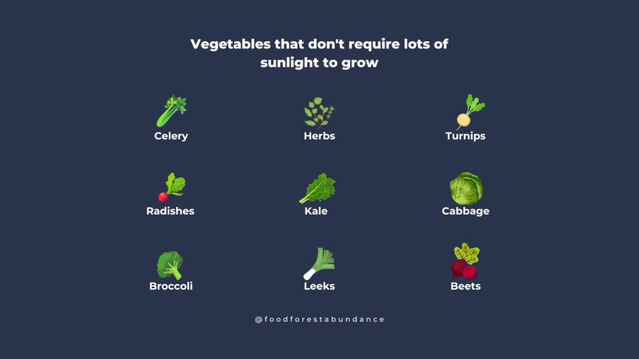 Vegetables that don't require lots of sunlight to grow