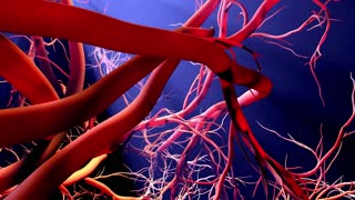 These Foods Unclog Arteries & Can Prevent A Heart Attack