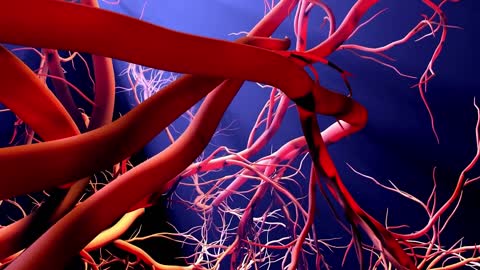 These Foods Unclog Arteries & Can Prevent A Heart Attack