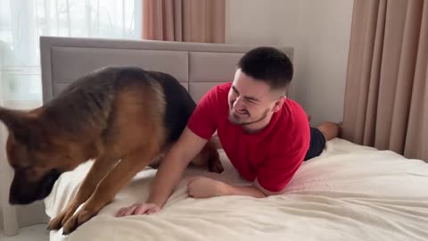 Pretending to Bite My German Shepherd by the Ear