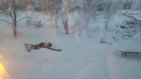 Blizzard Snow Angels