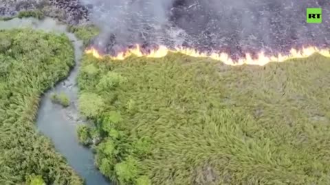 Wildfire engulfs hundreds of hectares near Brazilian tourist town