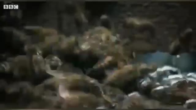 Mexeu com um, mexeu com todos!