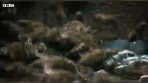 Mexeu com um, mexeu com todos!