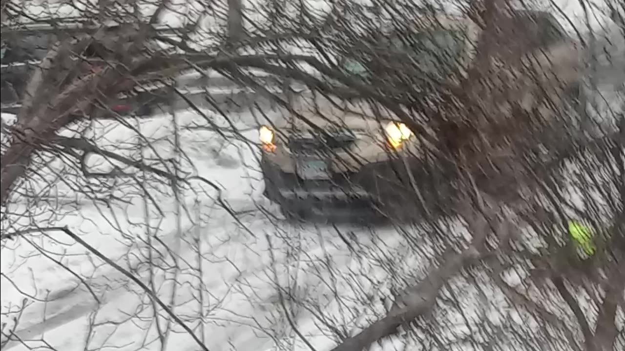 Car visitors