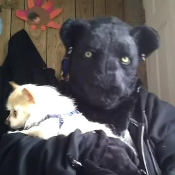 Do you like breakfast