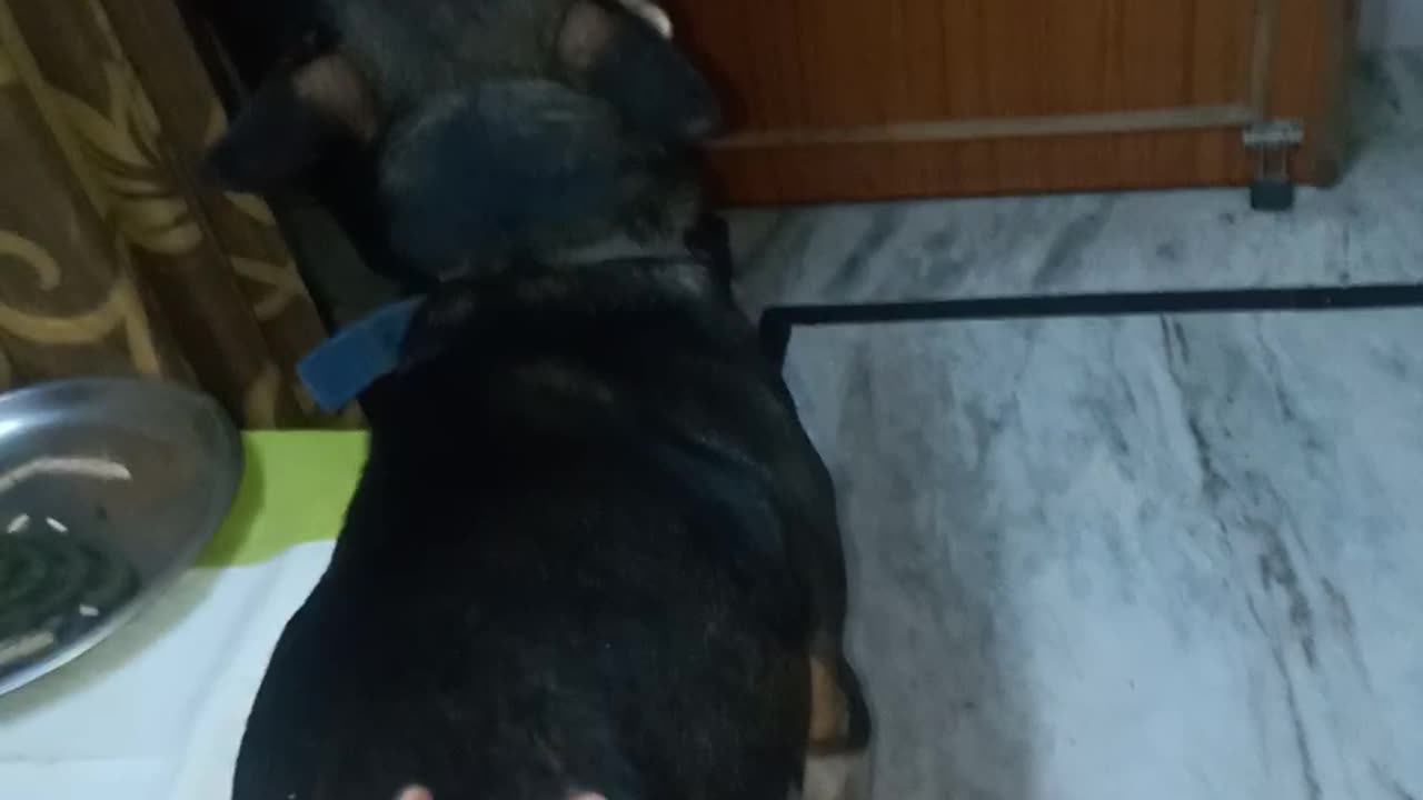 My boy