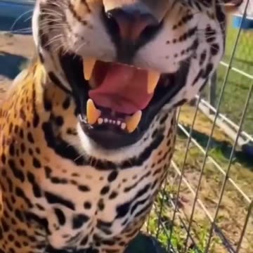 this is beautiful 😍