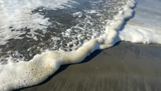 Westport, Washington beach