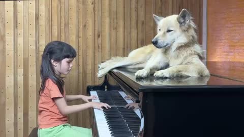 'Moon River' on Piano for Sharky the Dog