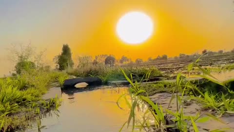 The most beautiful video of village life.